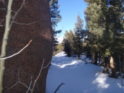 around_a_rock