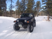 terry_on_the_trail
