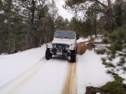 roger_on_the_trail_part_1