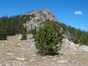 bald_mountain