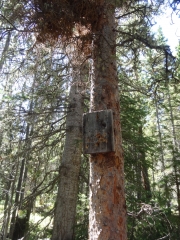 helpful_sign
