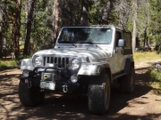 roger_on_the_trail