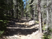 slanted