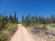 start_of_the_trail