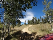 snake_trail