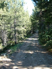 the_trail