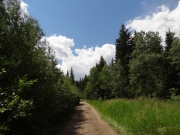 blue_and_green