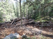 timber_part_1