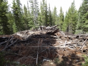 timber_part_2