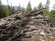 timber_part_3