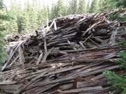 timber_part_4