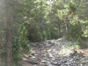 wet_rocks