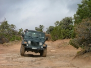 bob_on_the_trail