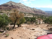 horse_mesa