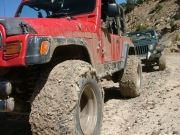 monica_muddy