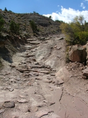 rocky_trail