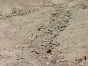 slippery_clay