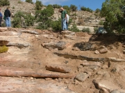 the_rocks_part_2