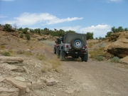 jeeps