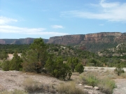 view_from_the_start