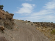 wavy_trail