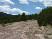 bumpy_after_the_campground