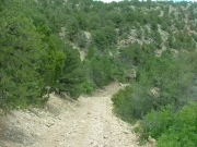 descent