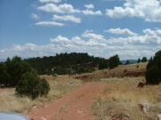 dirt_trail