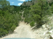 narrow_trail