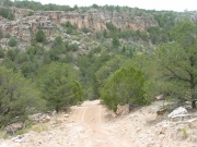 trail_in_scenery