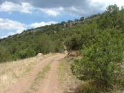 up_hill