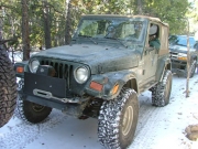 bob_on_the_trail