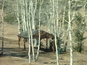 covered_picnic_area