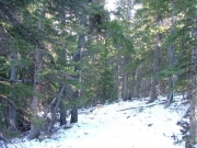 curves_in_snow
