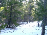 snowy_trail