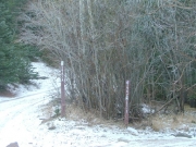 spur_intersection