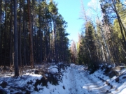 snow_on_the_trail_part_1