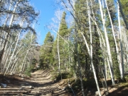 trail_part_1