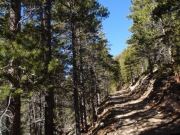 trail_part_4