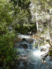 creek
