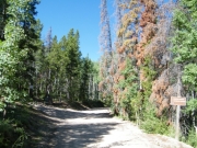 democrat_mountain_intersection