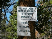 fishing_sign_2