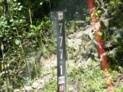 forest_service_sign