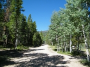 mellow_trail