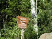 national_forest_sign