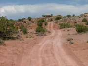 curvy_trail