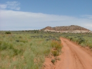 early_trail