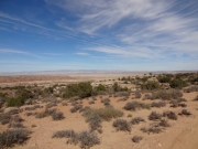 desert_view