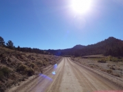 early_trail