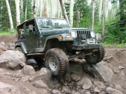 bob_down_the_rock_garden